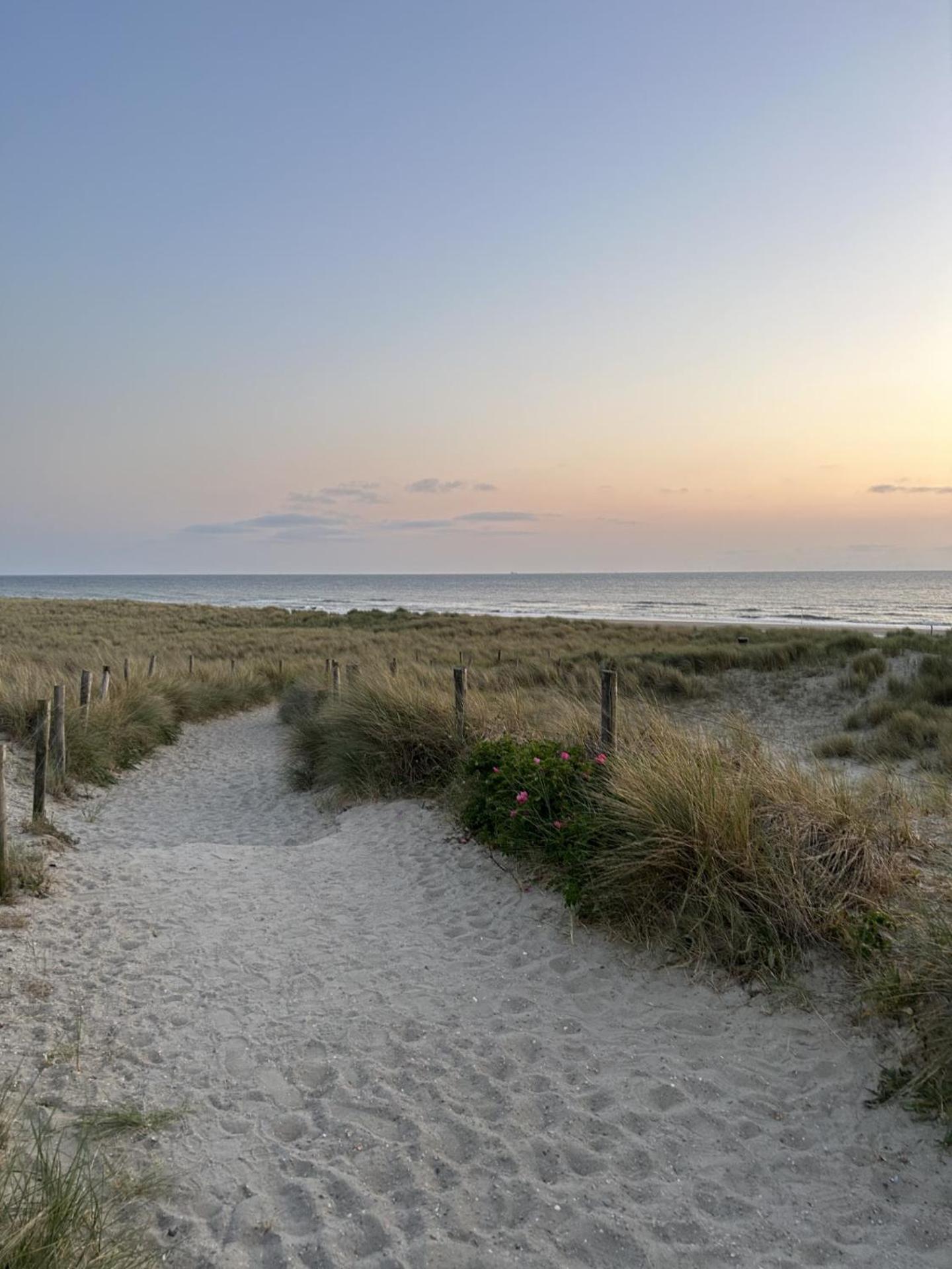 Breezy Beach Chalet Petten Kültér fotó