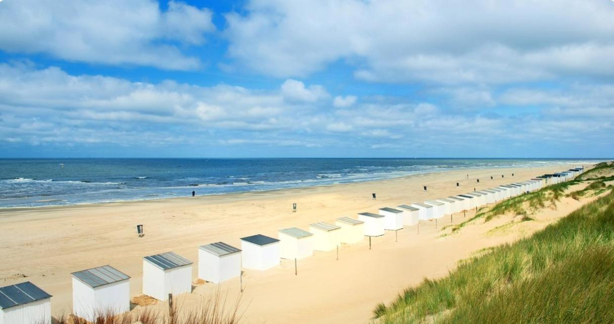 Breezy Beach Chalet Petten Kültér fotó